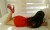 istanbul pendik olgun escort zeynep - Image 3