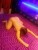 Ataşehir Escort Bayanlaron Buluşma Merkezi Ataşehir Escort - Image 3